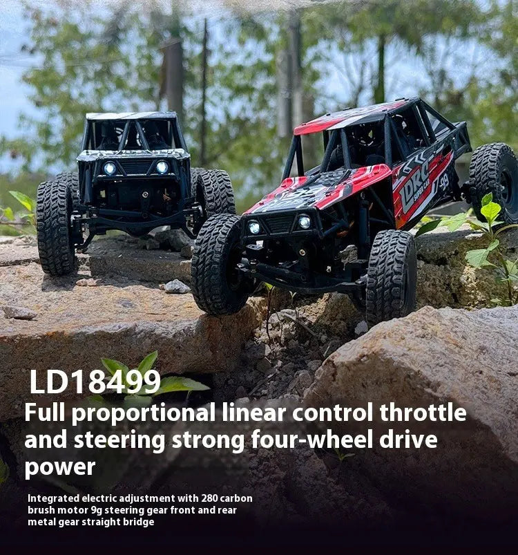 LDRC LD18499 1:18 4x4 4WD RC Car